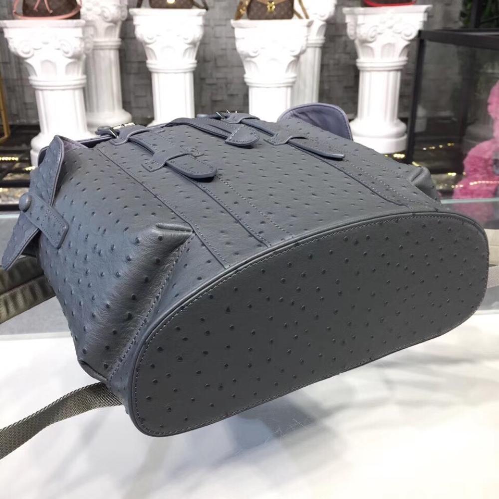 Elegant Backpack