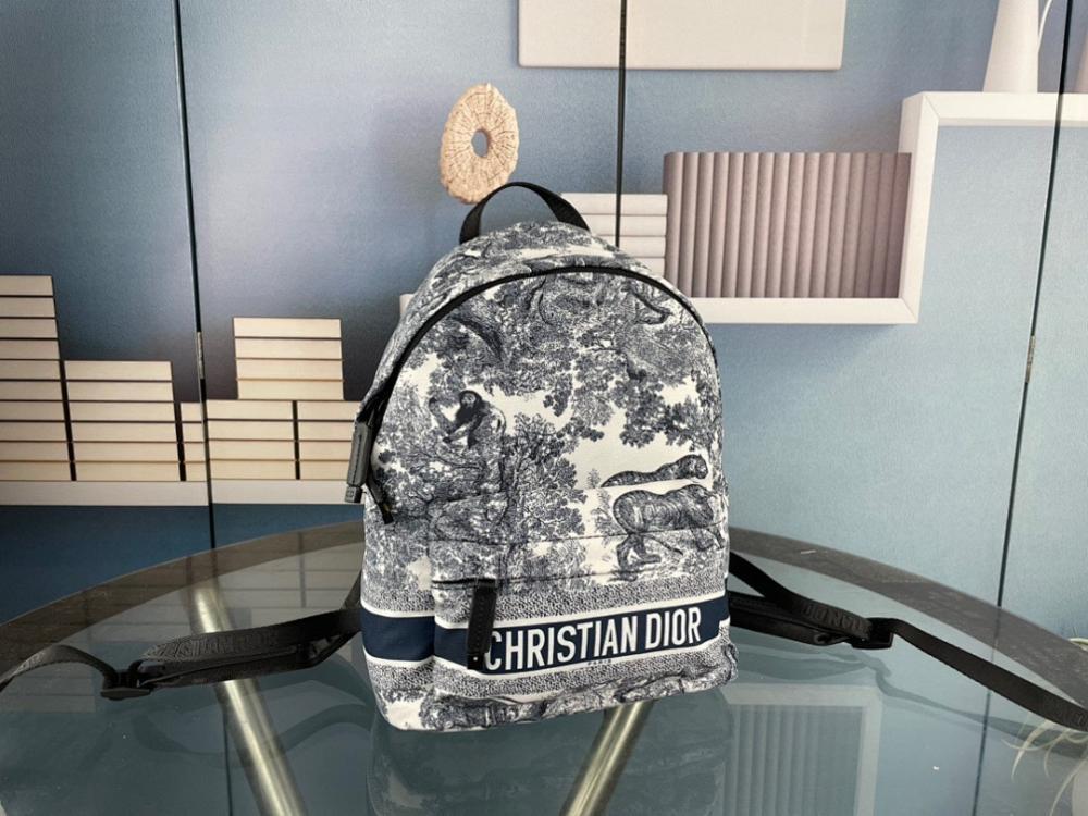 Luxury Stylish Embroidered Backpack