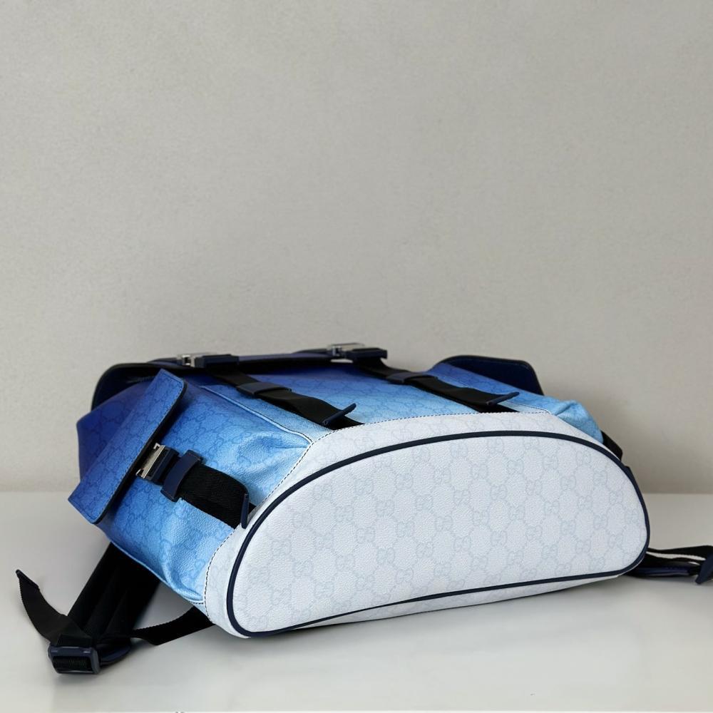 Elegant Backpack