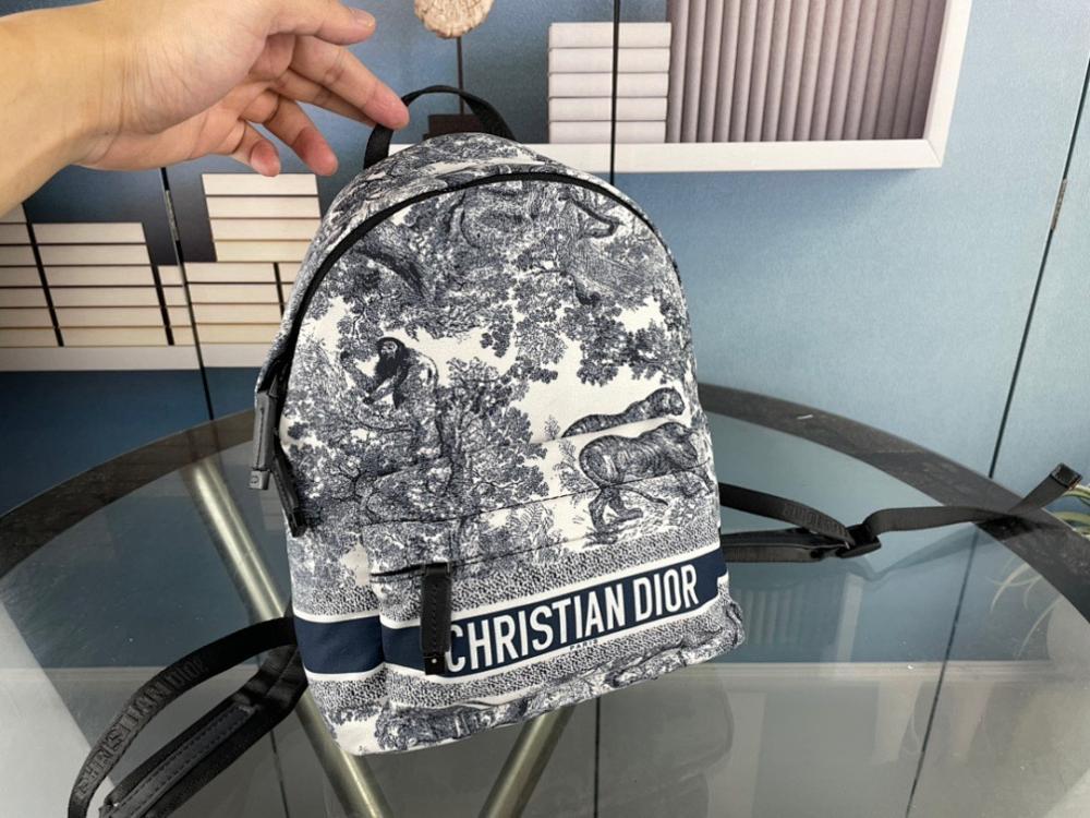 Luxury Stylish Embroidered Backpack