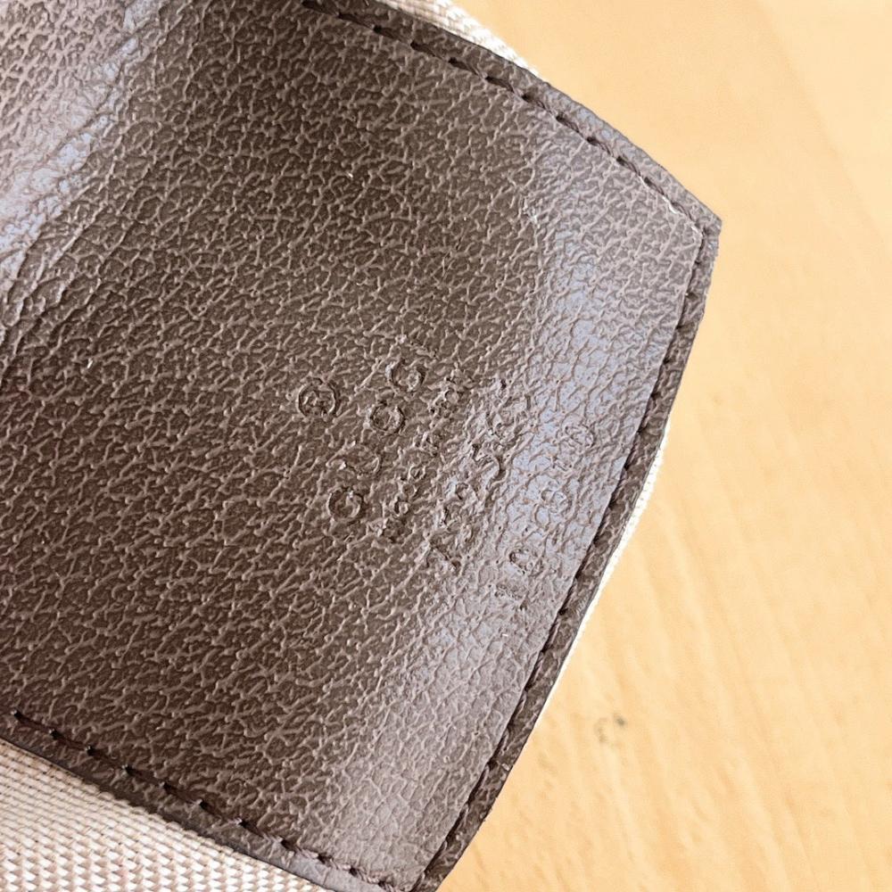 Ophidia Woven Shoulder Bag