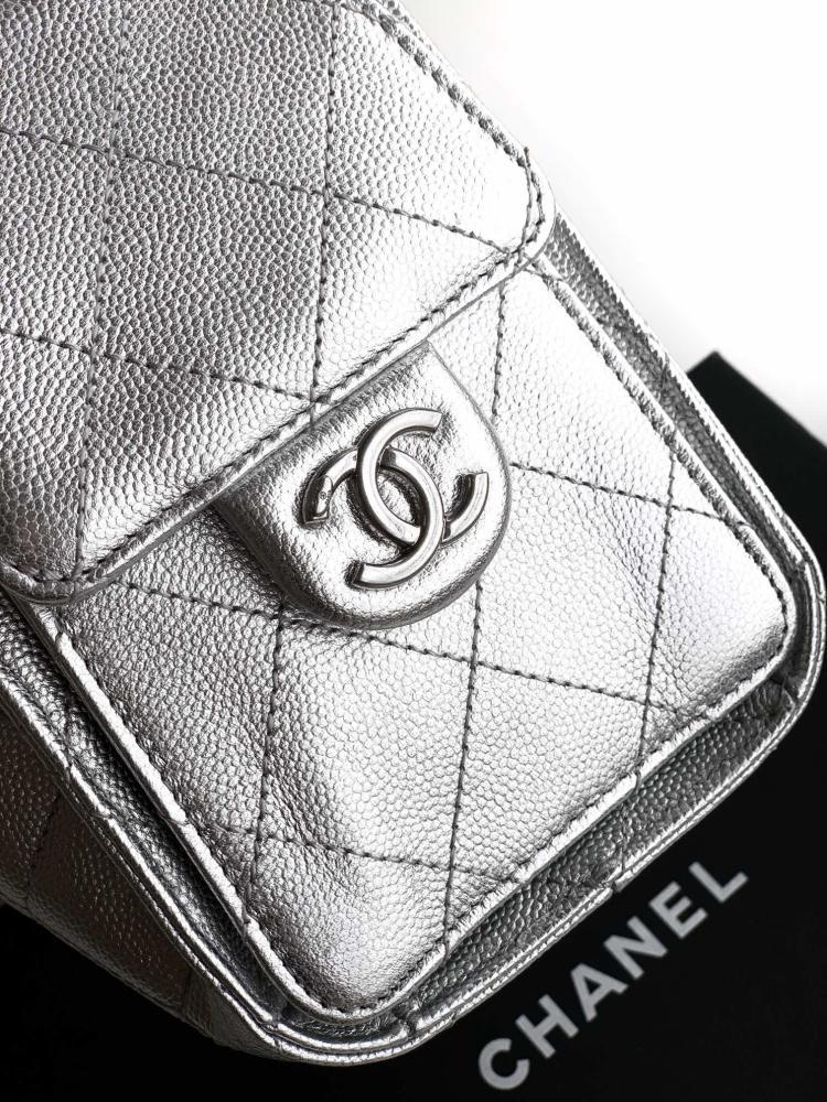 Silver Hobo Bag