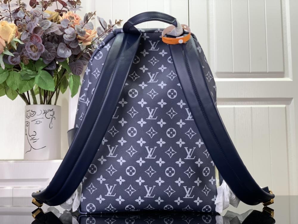 Luxury Backpack