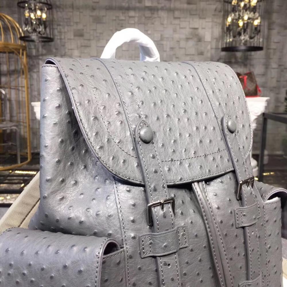 Elegant Backpack