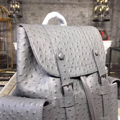 Elegant Backpack