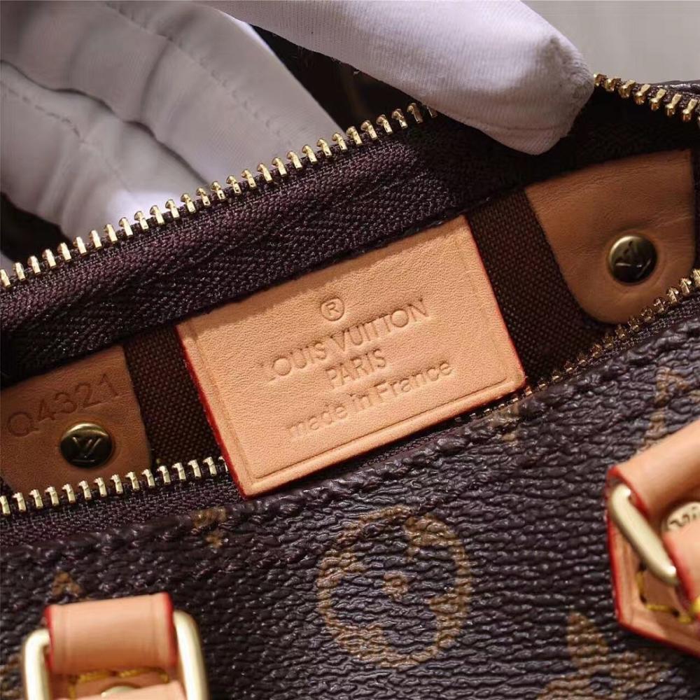 Speedy Monogram Crossbody Bag