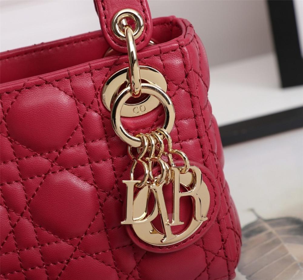 Luxury Stylish Pink Lambskin Bag