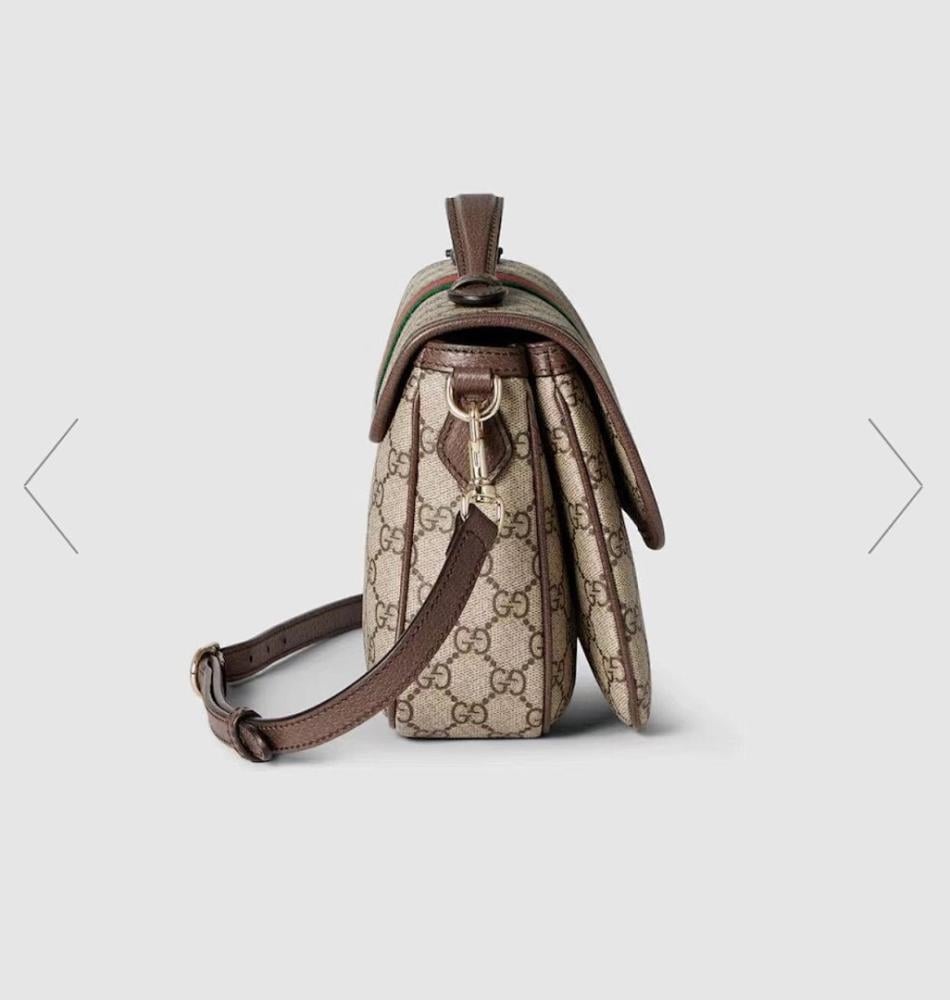 Modern Luxury Bag
